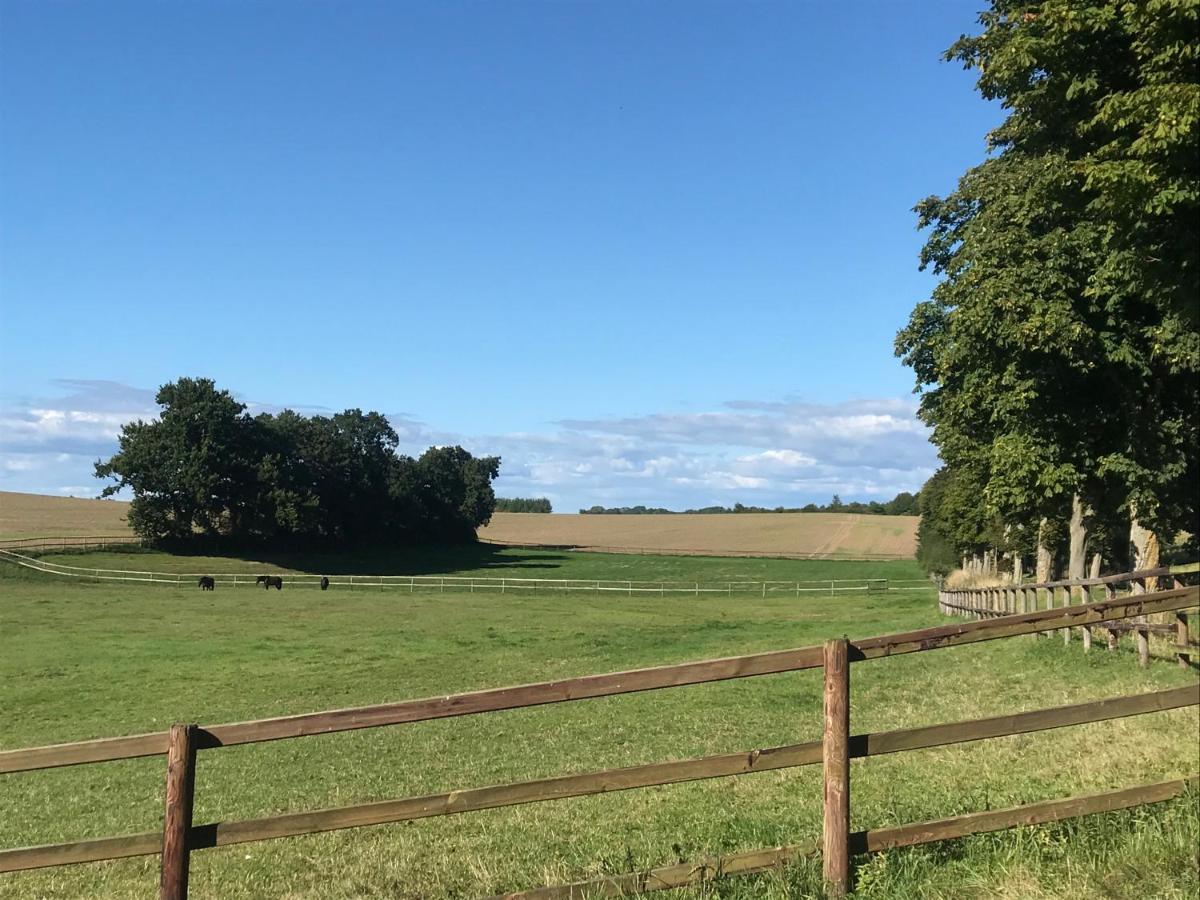 Refugium In Ostseenaehe Surendorf المظهر الخارجي الصورة
